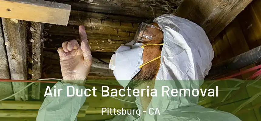  Air Duct Bacteria Removal Pittsburg - CA