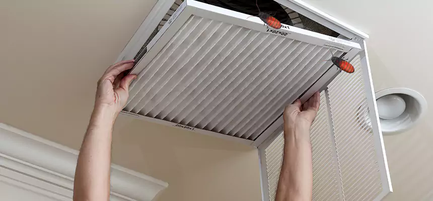 Preventive Cockroach-Proofing for Ducts in Pittsburg