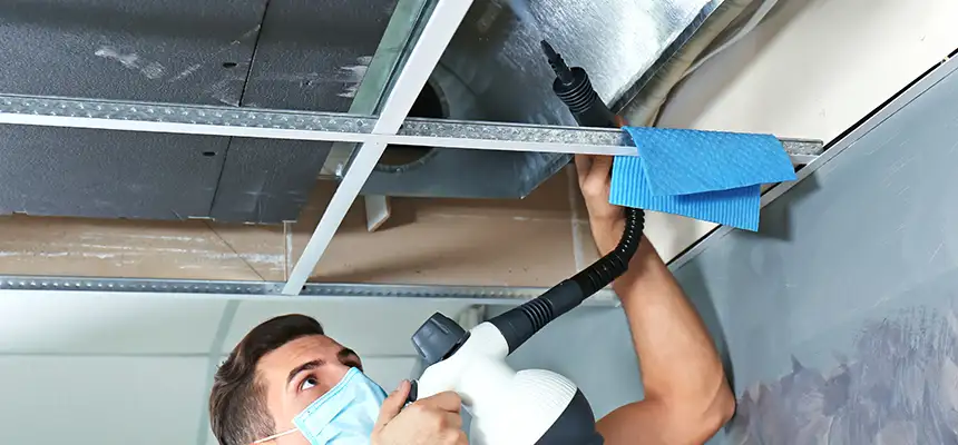 Our Air Duct Rodent Removal Services in Pittsburg, CA