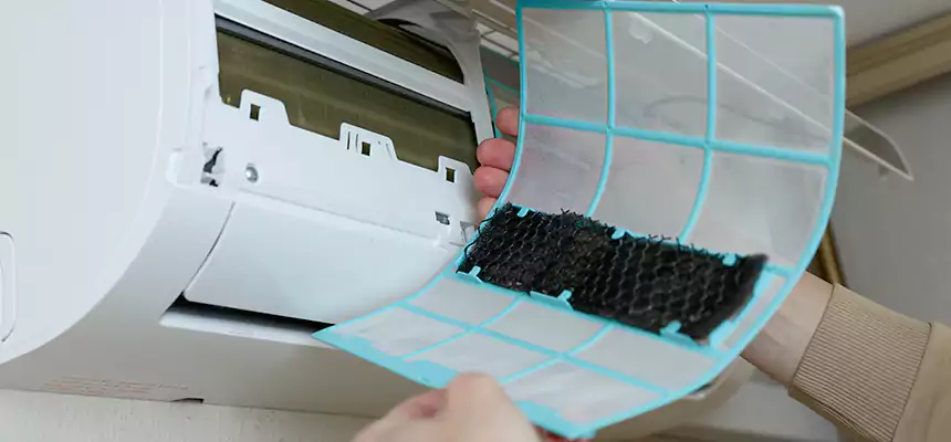 Gentle Ductwork Odor-Control Pet Dander Duct Cleaning in Pittsburg, CA