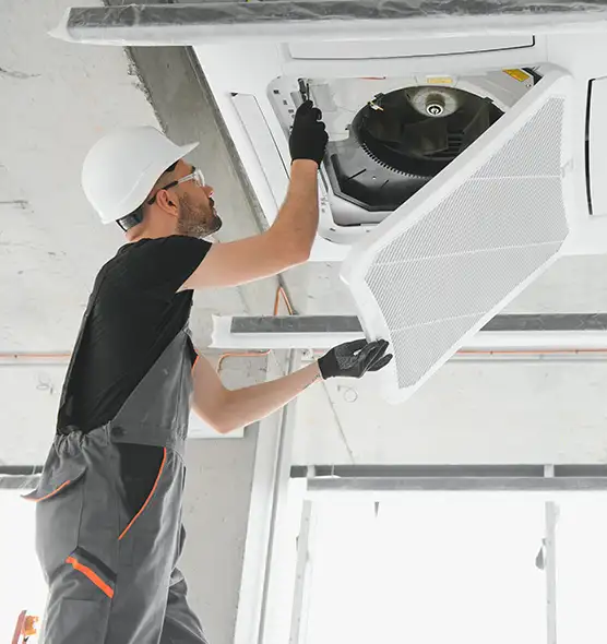 About Air Duct Rodent Removal in Pittsburg, CA