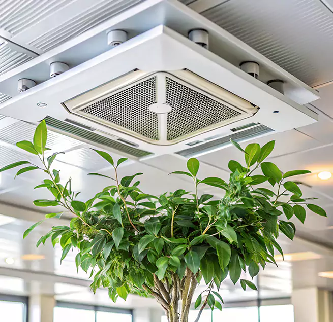 Why Homeowners & Businesses Trust Us in Pittsburg, CA?